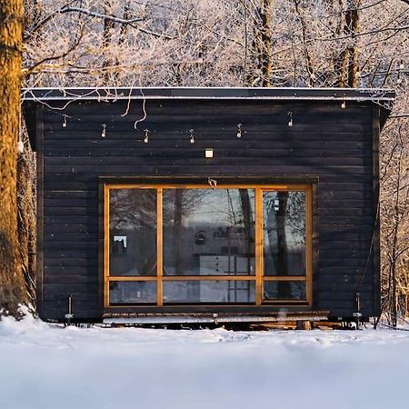 Beautiful Tiny House On The Lake Side. Trakai Exteriör bild