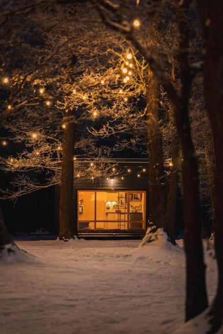 Beautiful Tiny House On The Lake Side. Trakai Exteriör bild